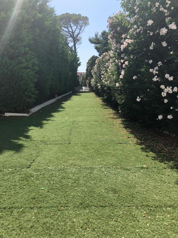 Torre Balzano B&B 발렌자노 외부 사진